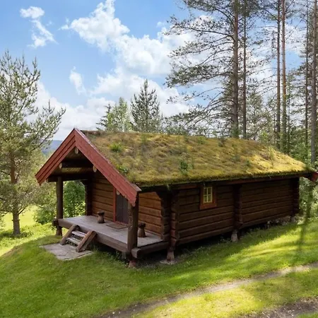 Skogcamping *