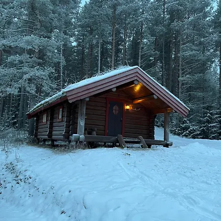 Skogcamping Campsite