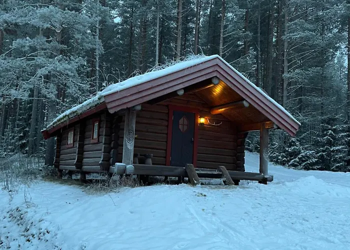Skogcamping Campingplatz